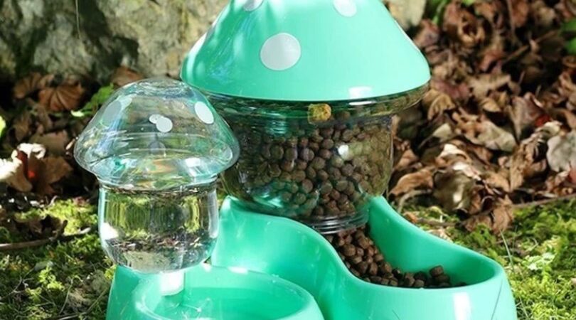 The Ultimate Convenience: Automatic Pet Feeder for Your Feline Friend