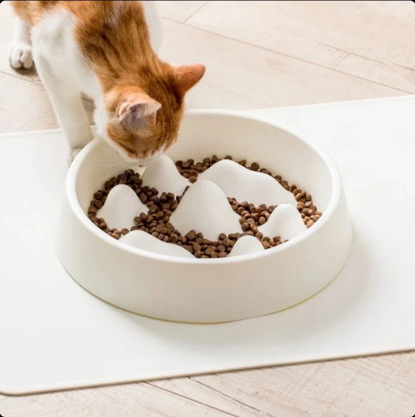 Enhance Your Pet’s Dining Experience with a Slow Feeder Bowl